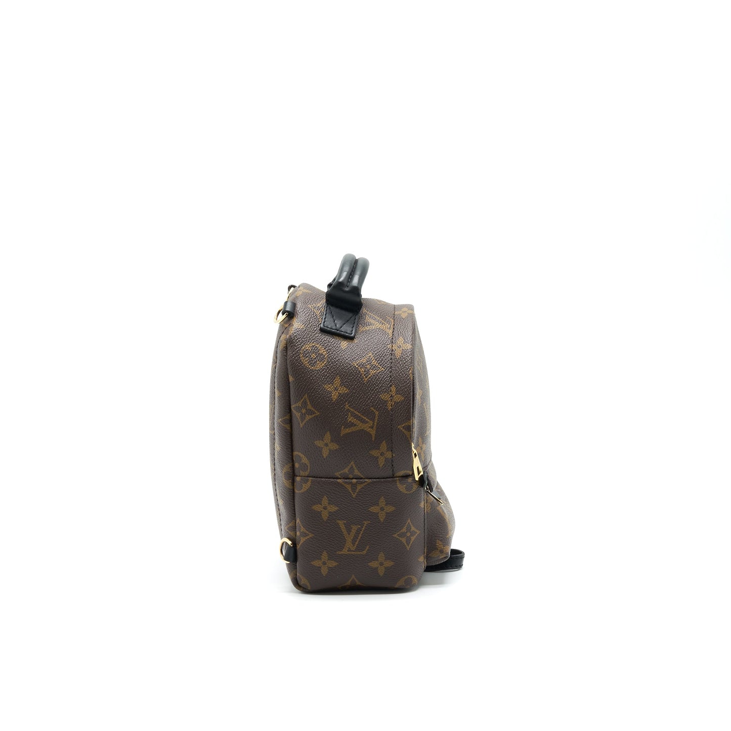 Louis Vuitton Palm Springs Mini Backpack Old Version