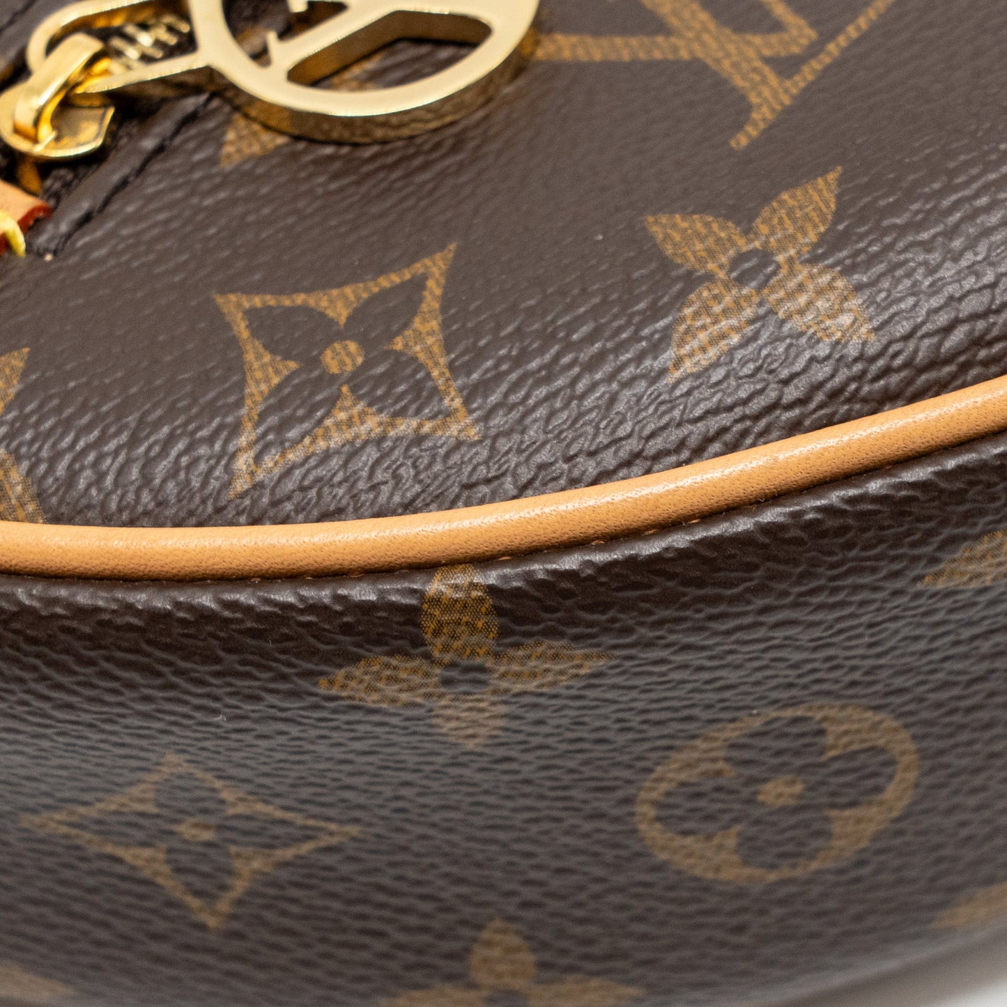 Louis Vuitton Loop Bag Monogram Canvas GHW