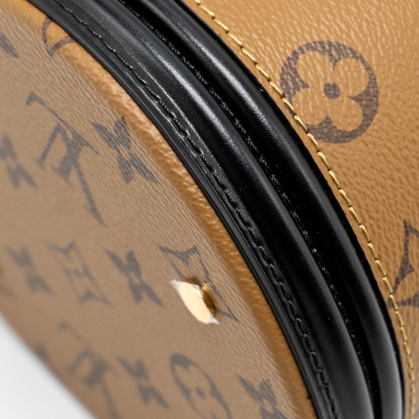 Louis Vuitton Cannes Monogram Reverse Canvas GHW