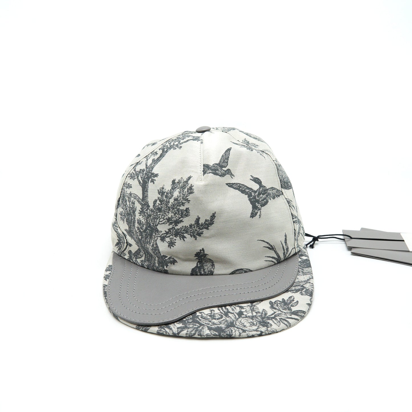 Luxury Dior limited print pattern Baseball Cap