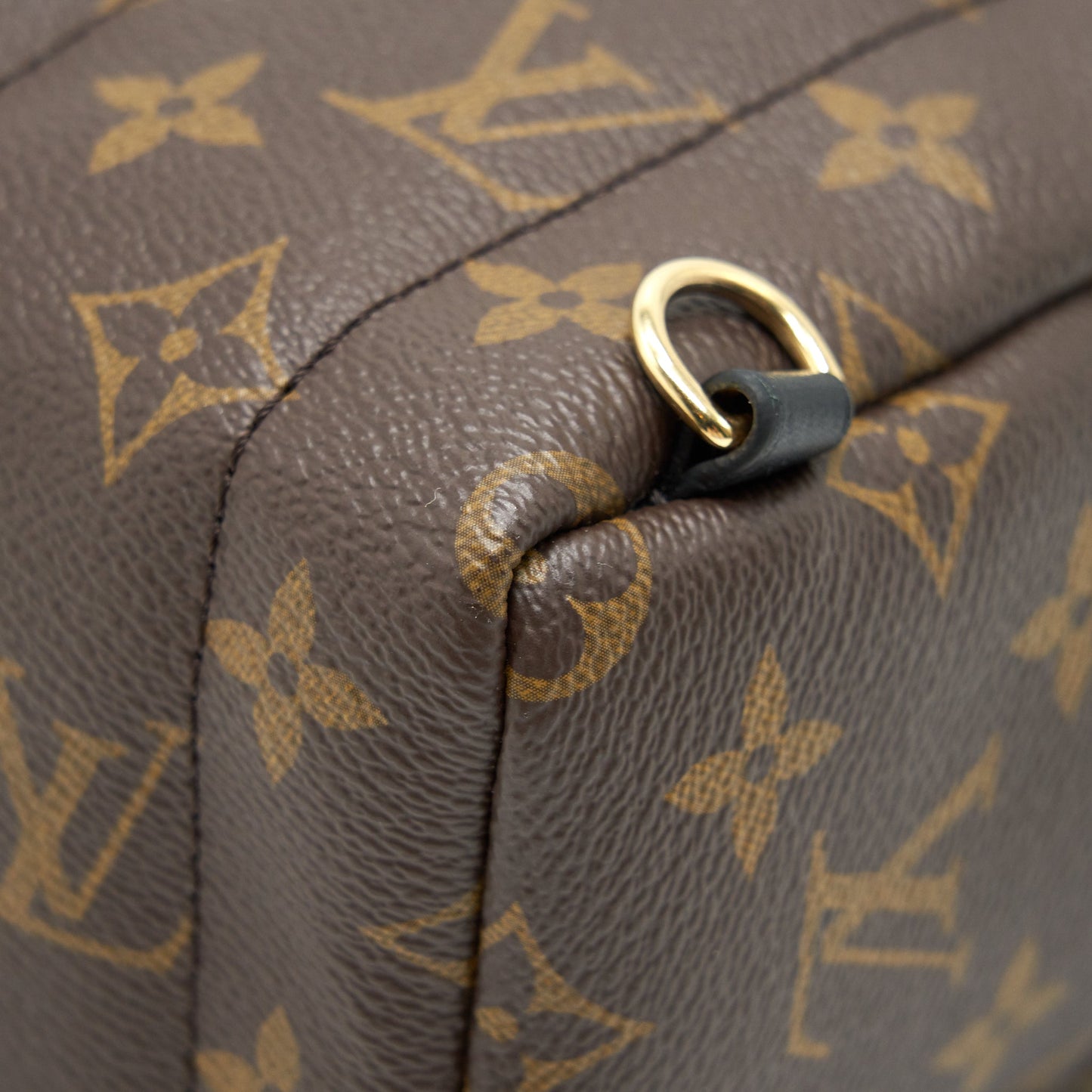 Louis Vuitton Palm Springs Mini Backpack Old Version