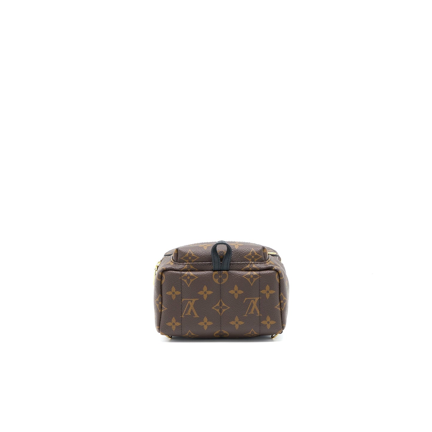 Louis Vuitton Mini Palm Spring Backpack Monogram Canvas GHW (New Version)