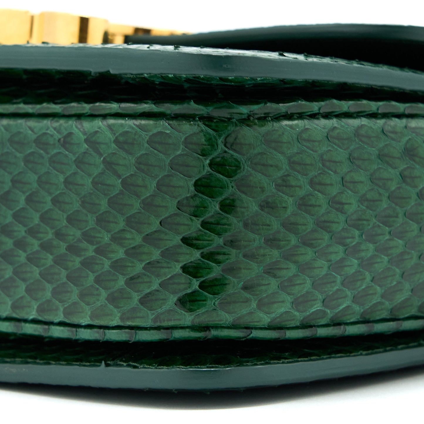 Celine Triomphe Bag Water Snake Leather Green GHW