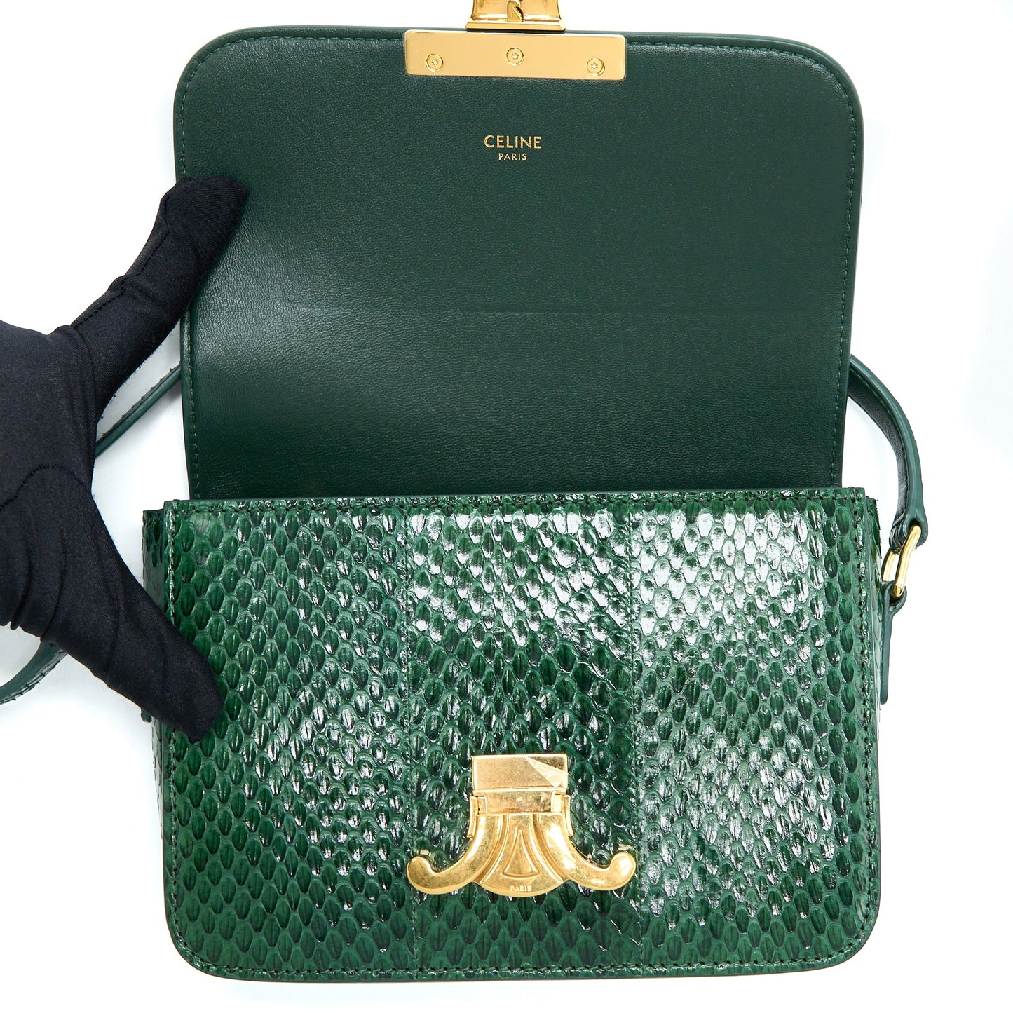 Celine Triomphe Bag Water Snake Leather Green GHW