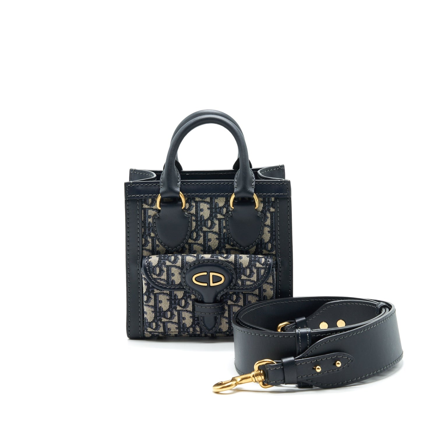 CHRISTIAN Luxury Dior Mini Oblique Tote Bag