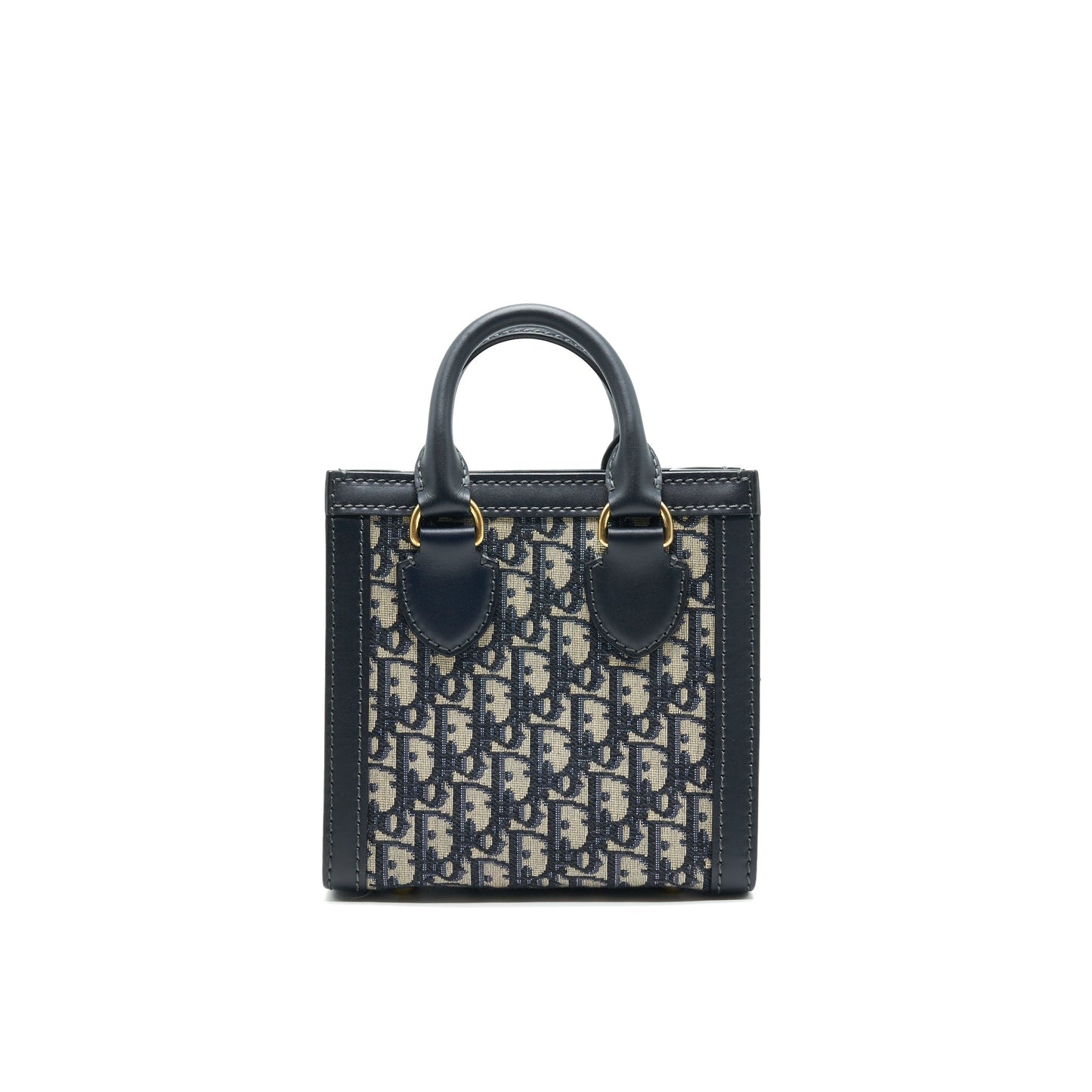 CHRISTIAN Luxury Dior Mini Oblique Tote Bag