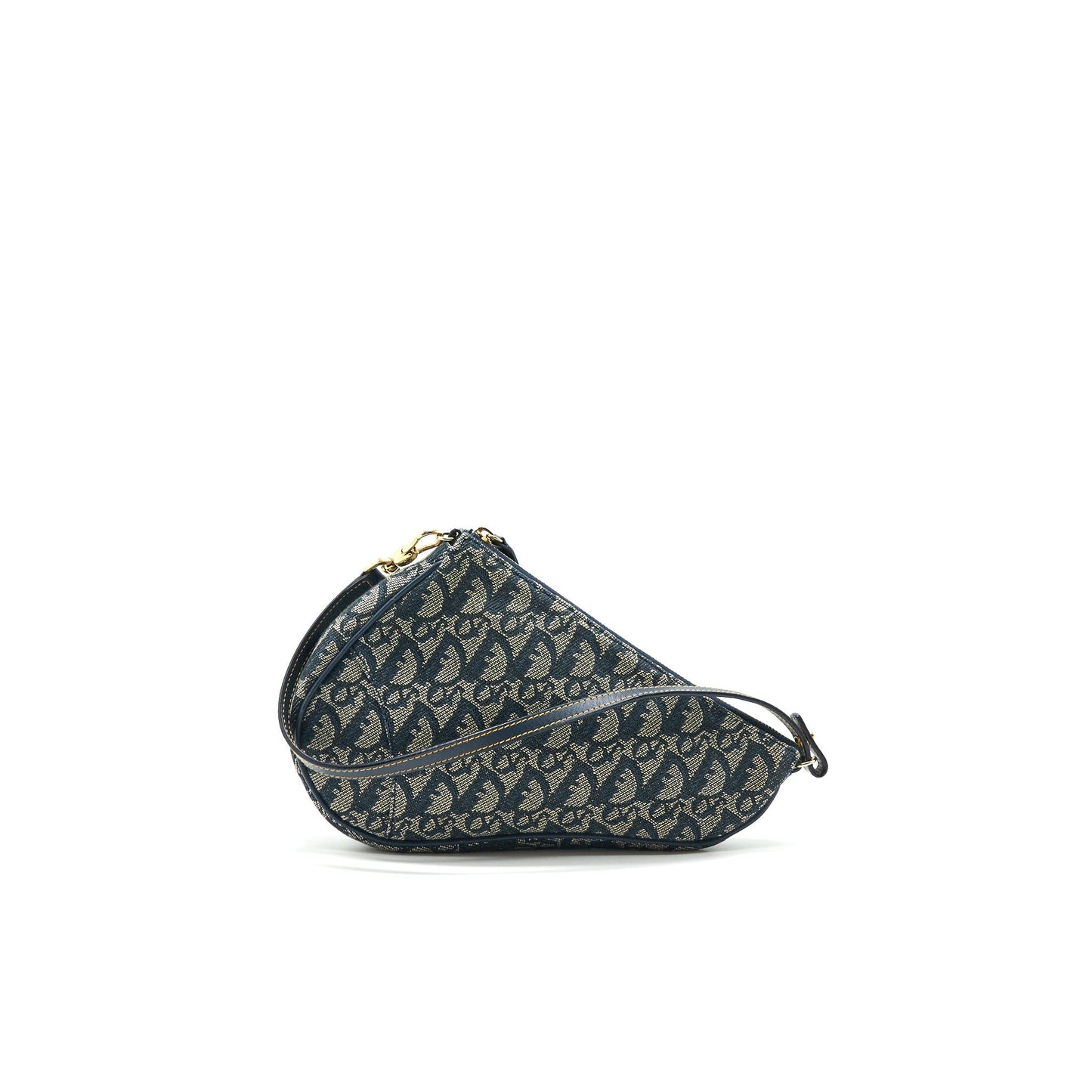 Luxury Dior Vintage Saddle Mini Pouche Bag