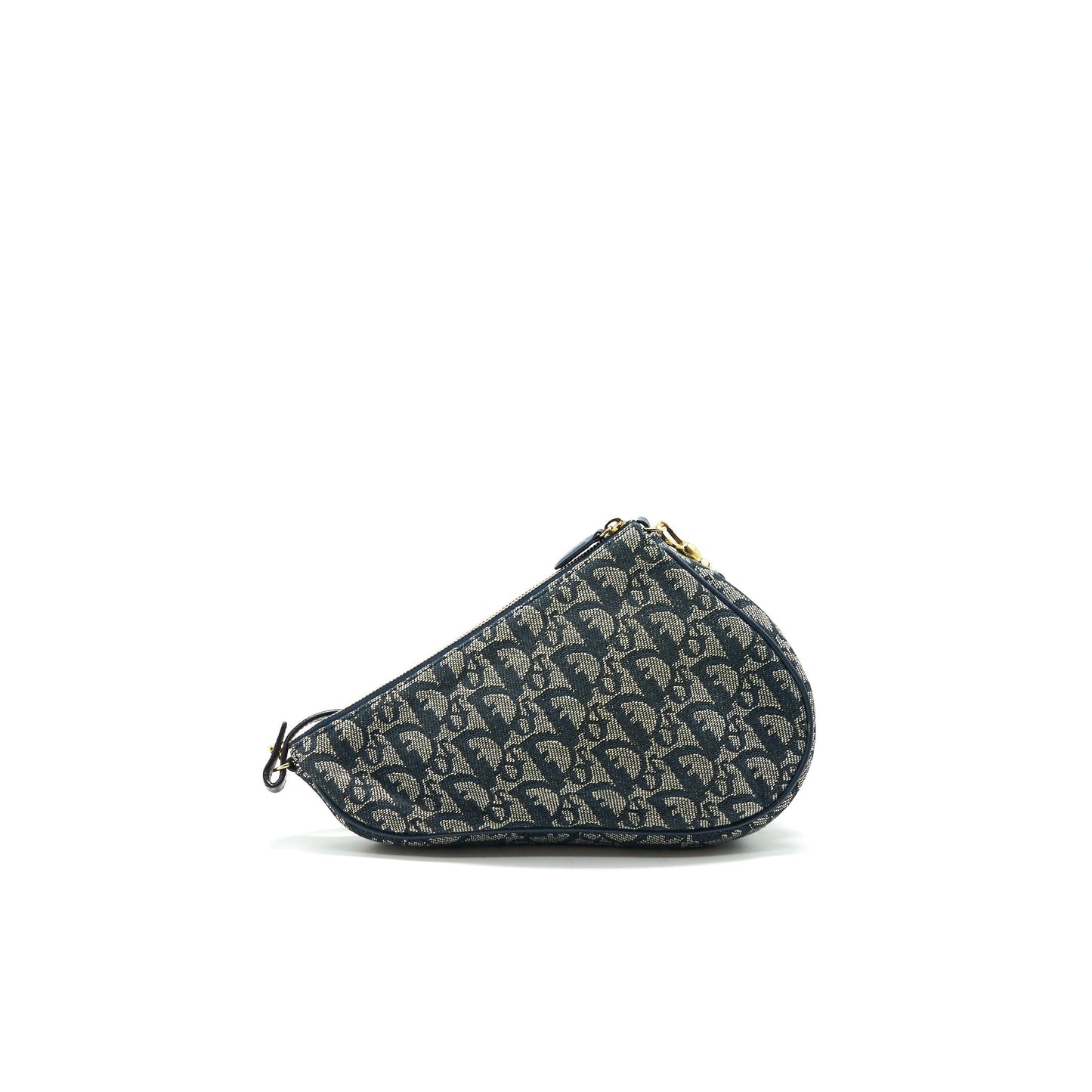 Luxury Dior Vintage Saddle Mini Pouche Bag