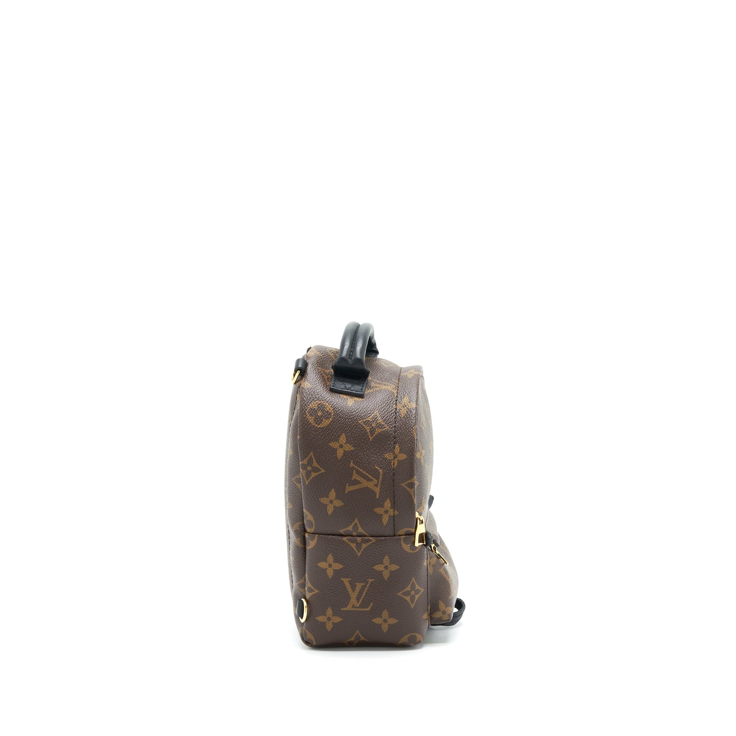 Louis Vuittin Palm Spring Backpack Mini Monogram Canvas