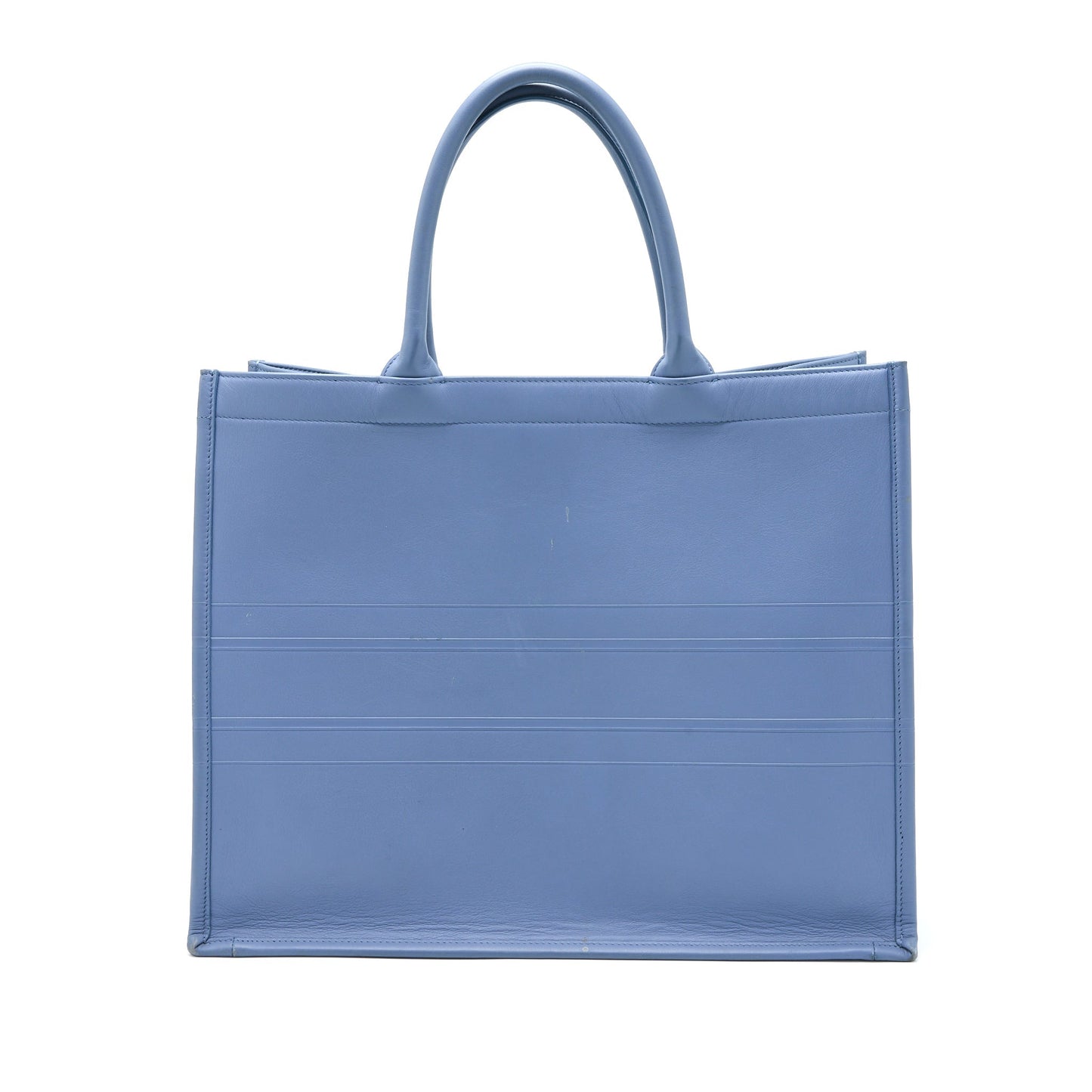 Luxury Dior Large Book Tote Light Blue