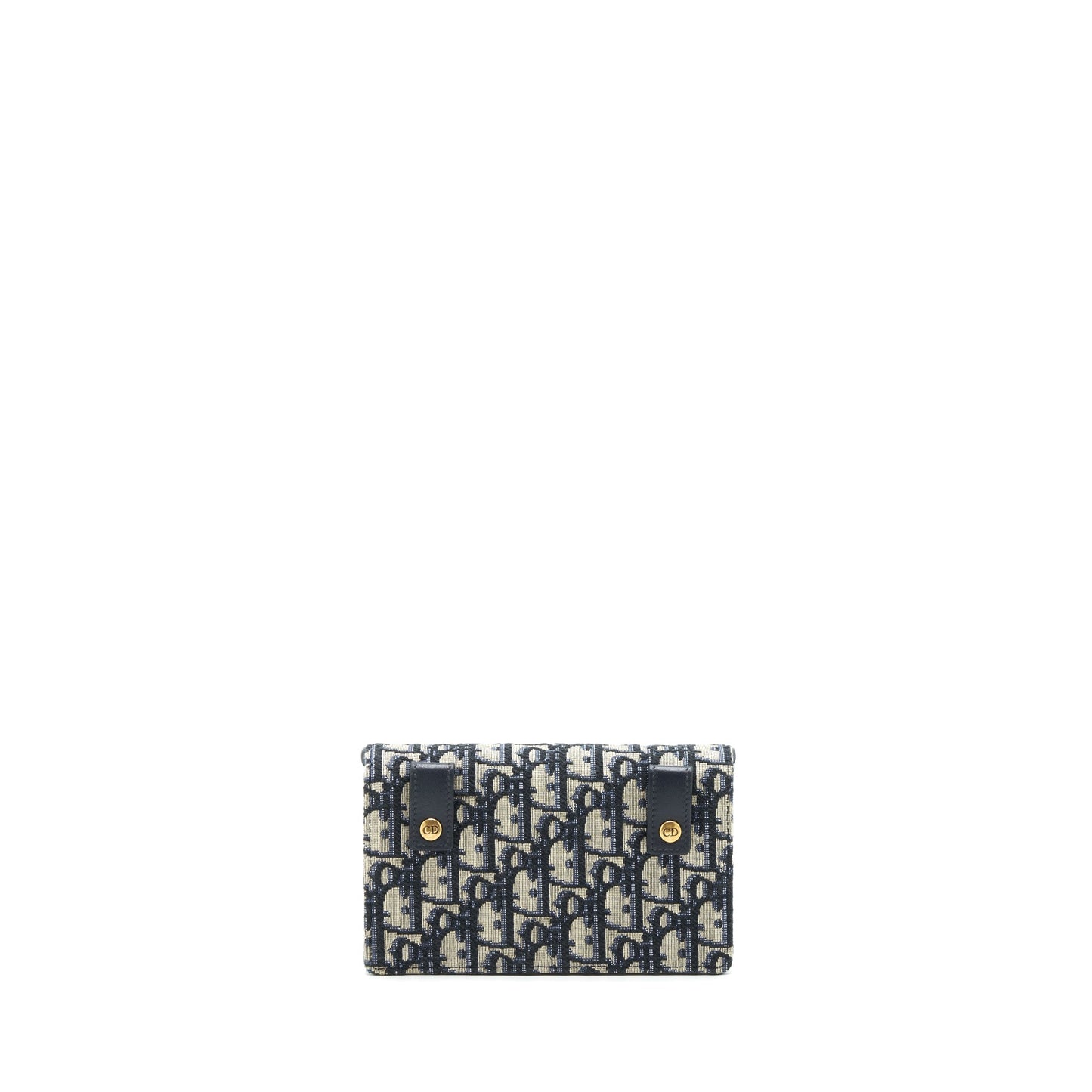 Luxury Dior Saddle Belt Pouch Oblique GHW