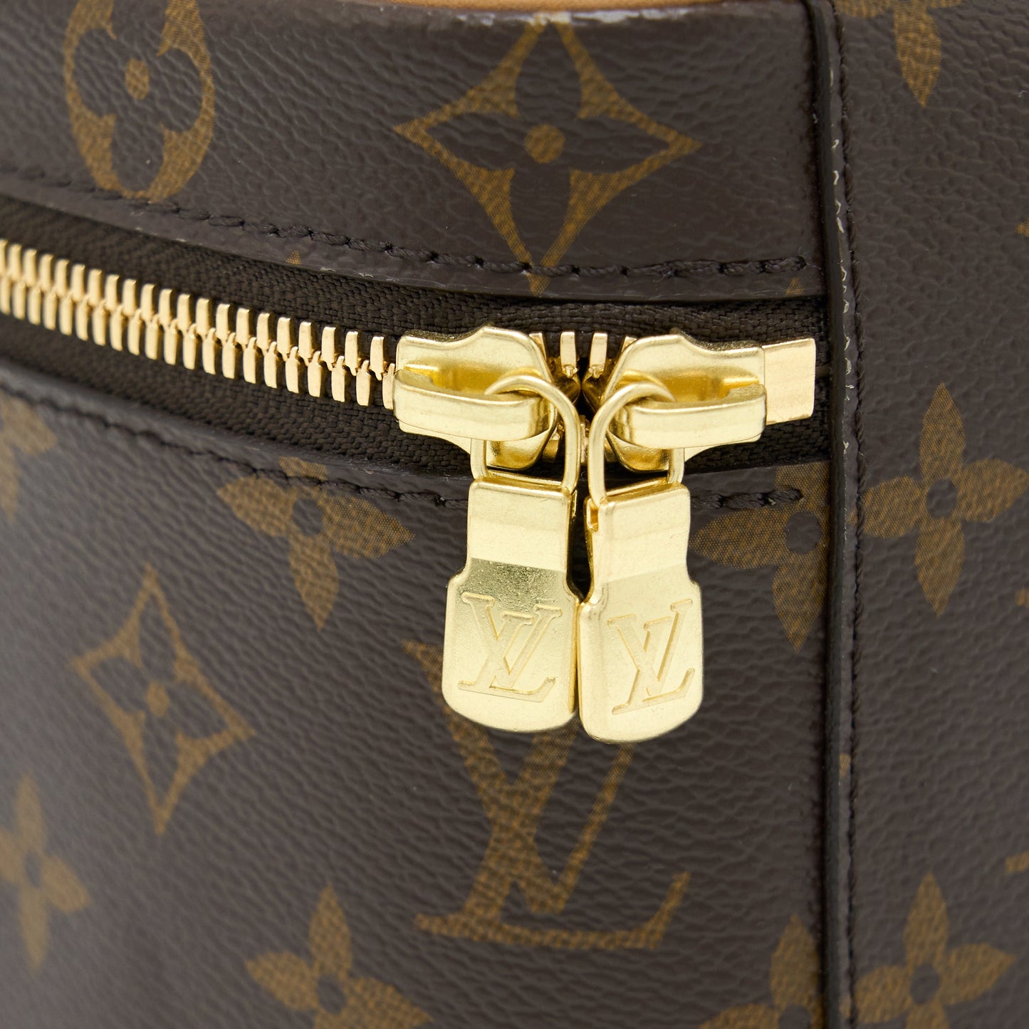 Louis Vuitton Nice Mini Monogram Canvas GHW (New Version)