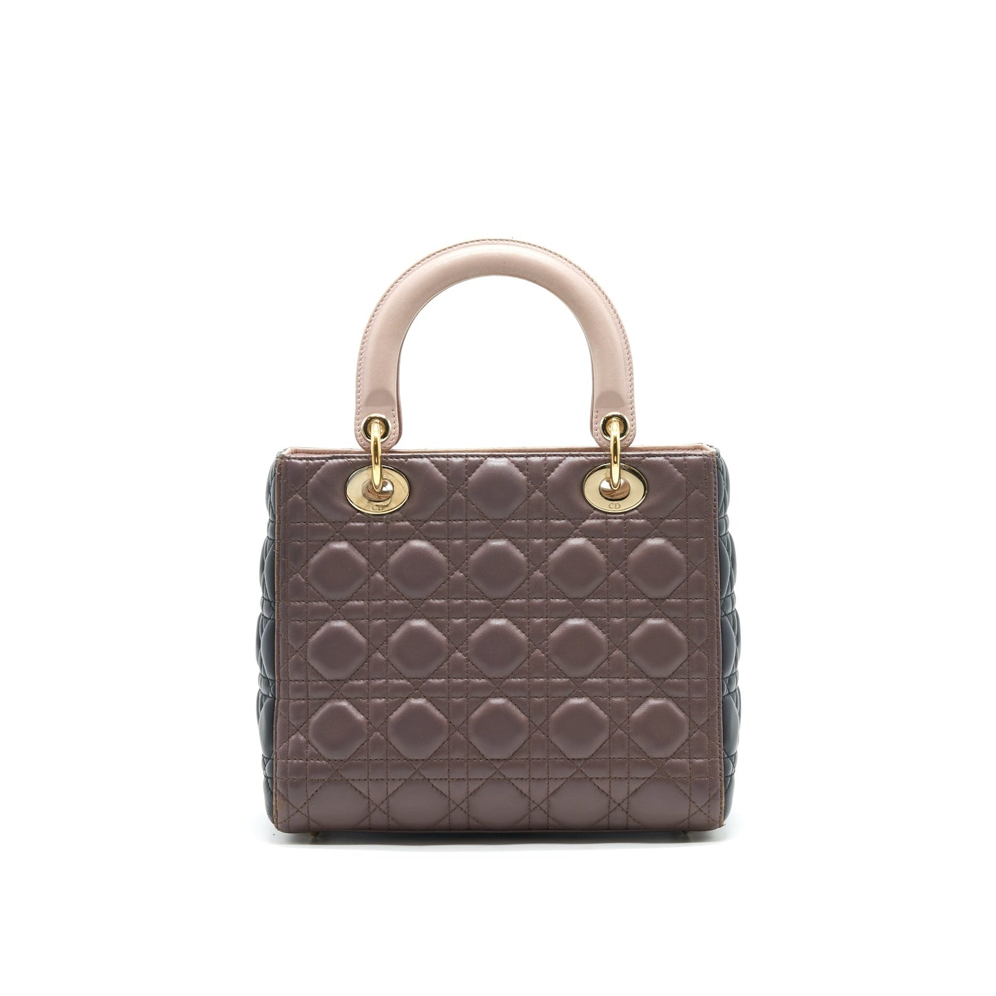 Luxury Dior Medium Lady Luxury Dior Bag Multi Color