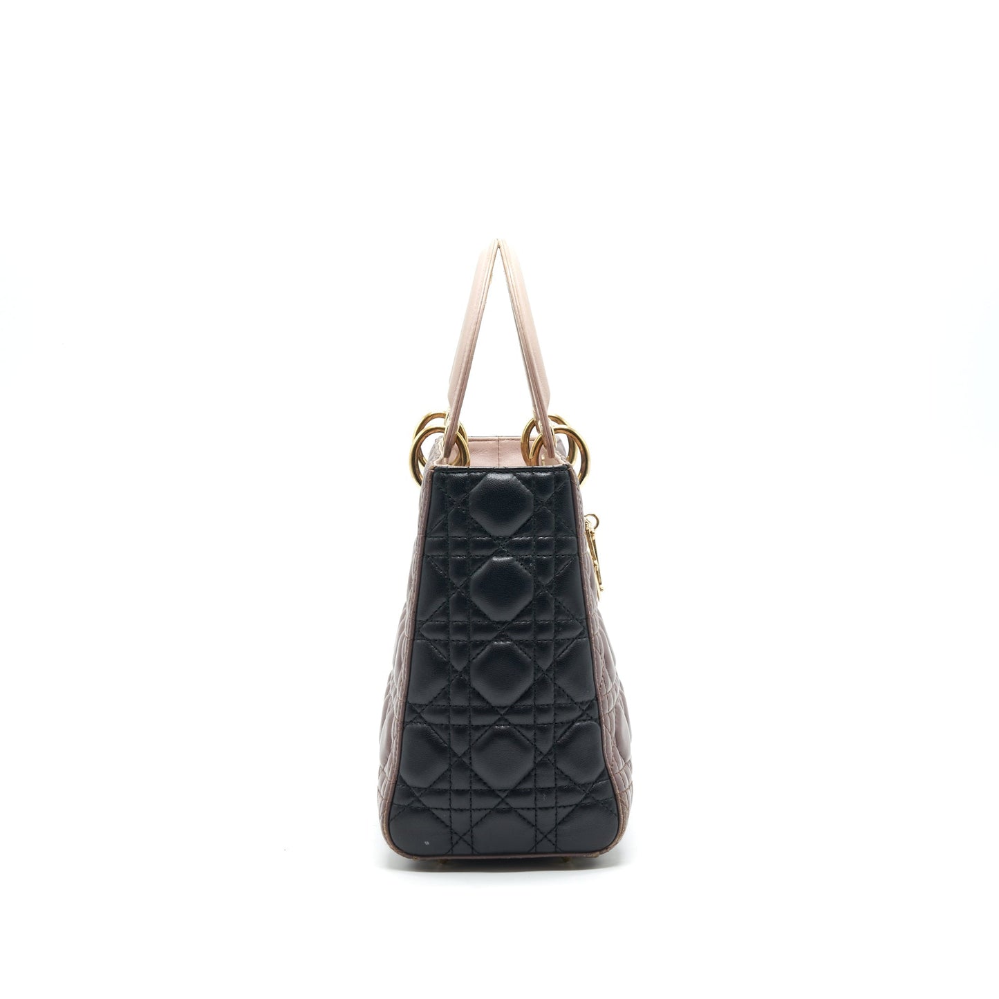 Luxury Dior Medium Lady Luxury Dior Bag Multi Color