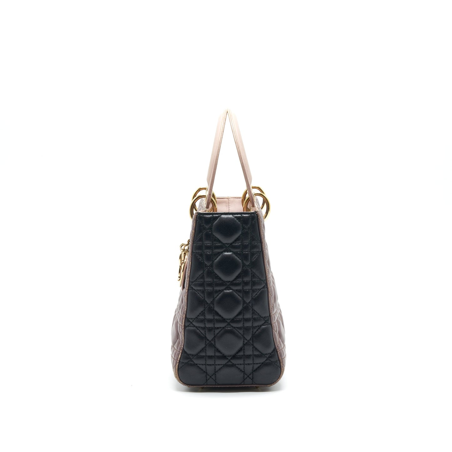 Luxury Dior Medium Lady Luxury Dior Bag Multi Color