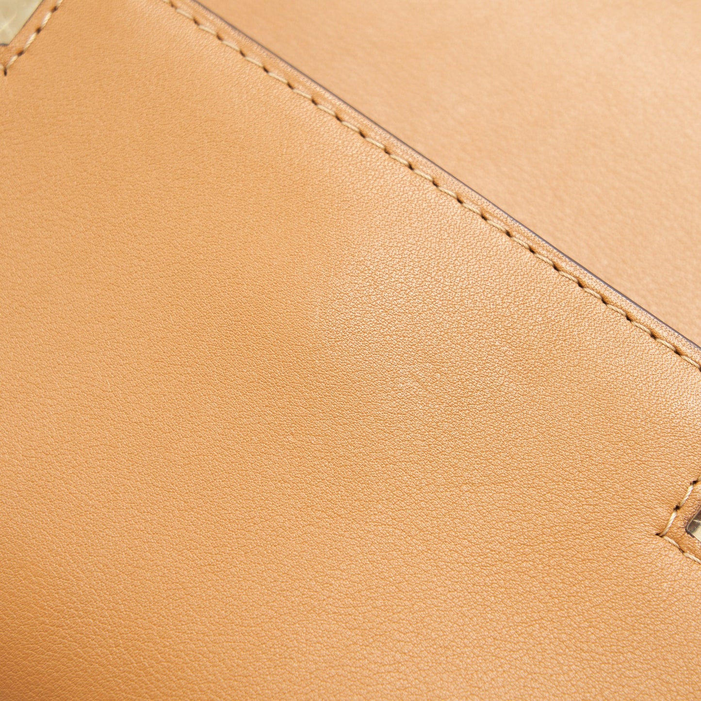 delvaux Tempete Tote Bag Caramel with LGHW