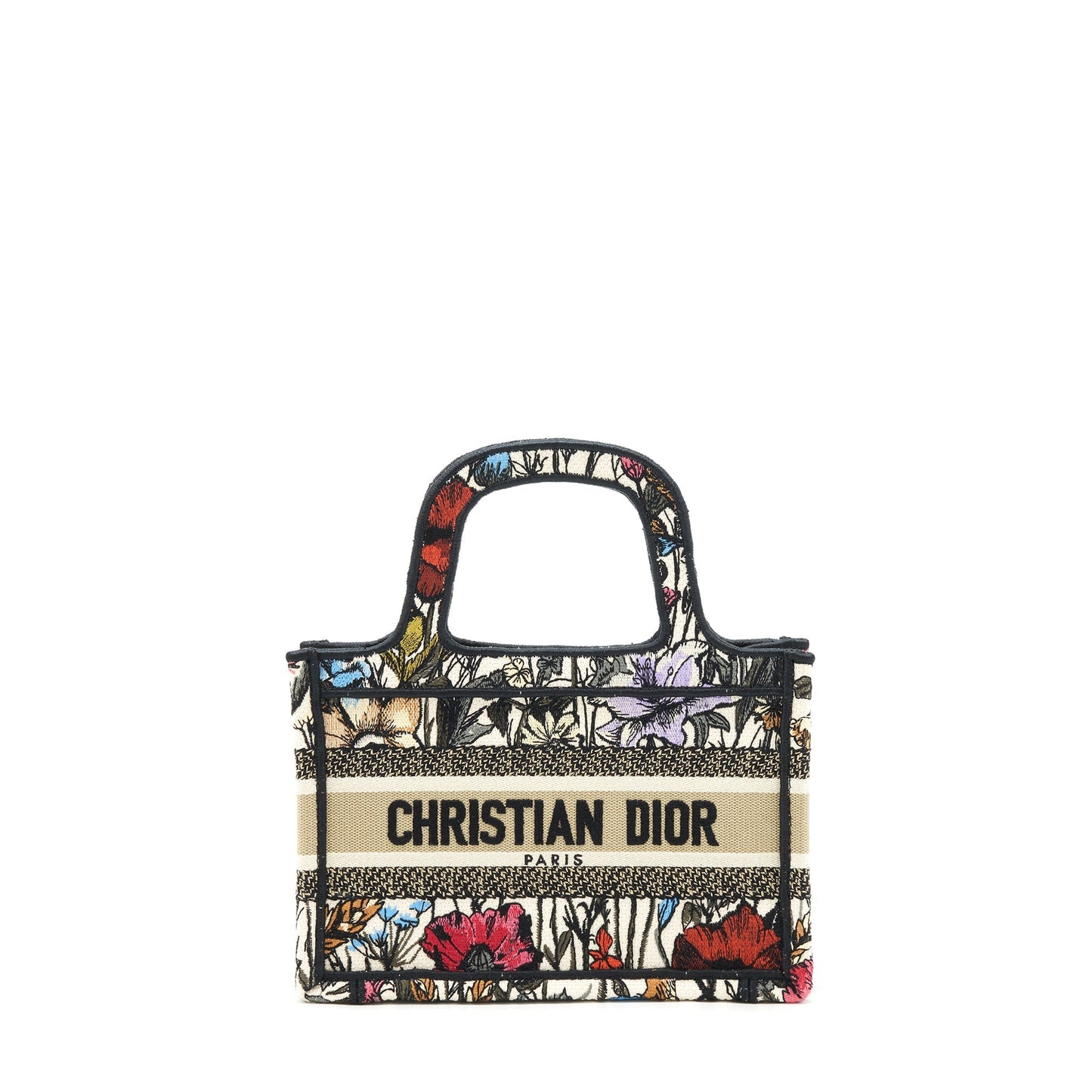 Christian Luxury Dior Limited Edition Mini Book Tote