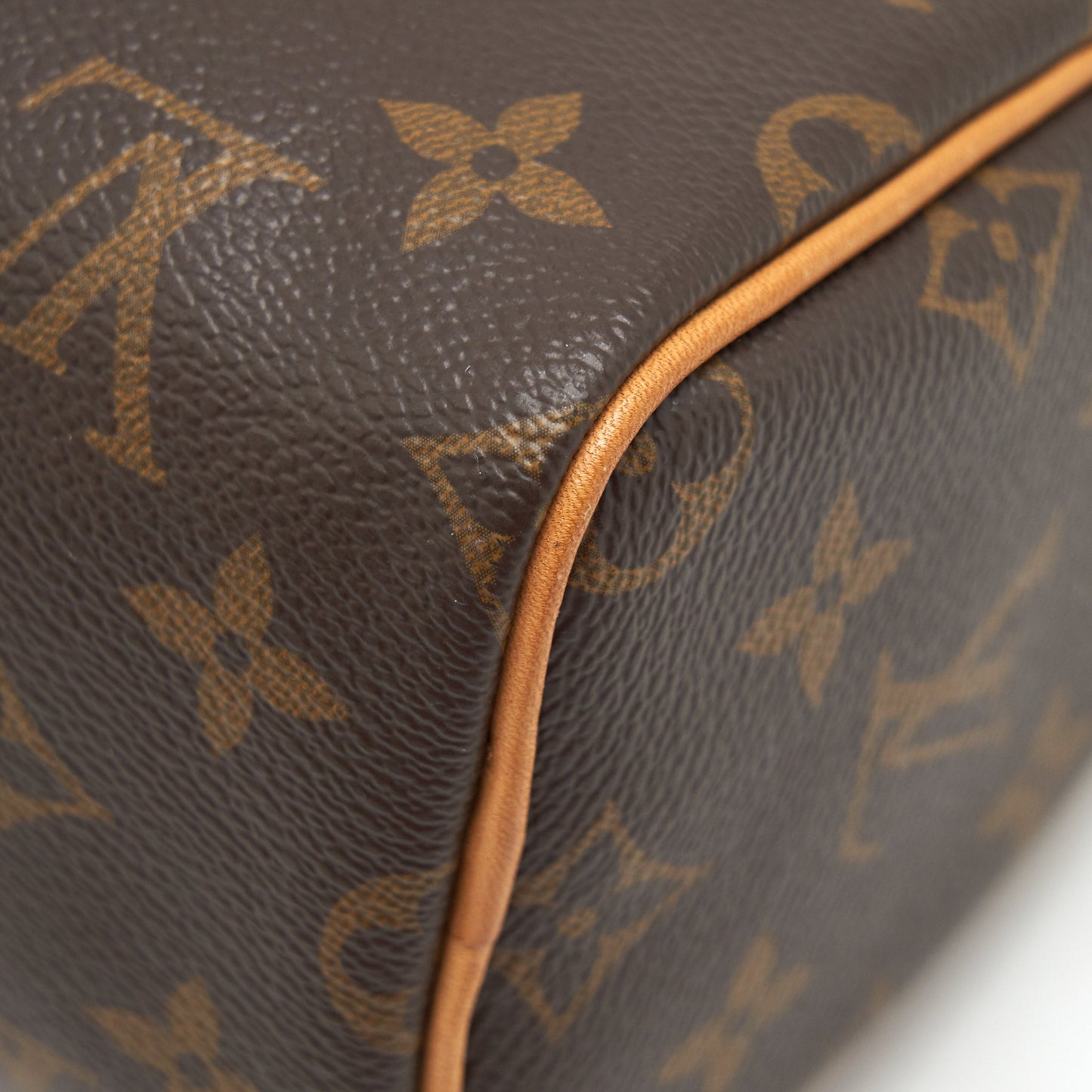 Louis Vuitton nano Speedy Monogram