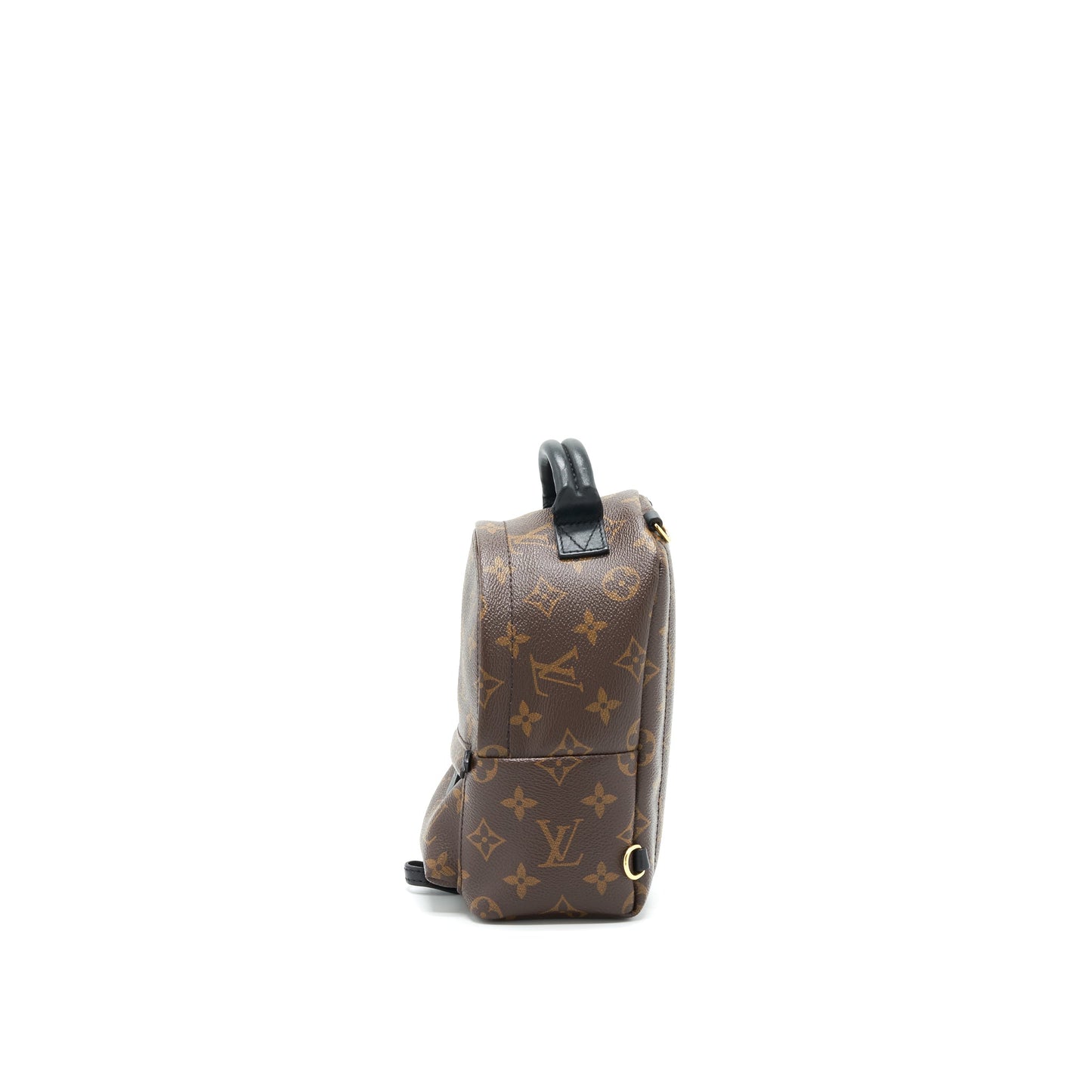 Louis vuitton palm springs Mini Backpack monogam Canvas