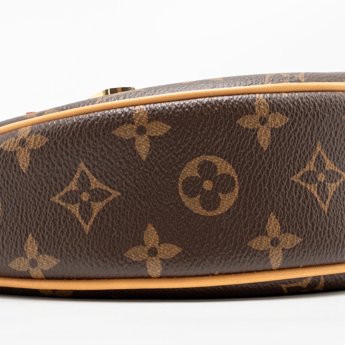 Louis Vuitton Loop bag monogram canvas GHW