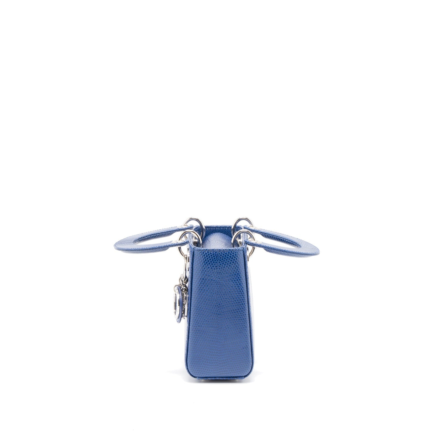 Luxury Dior Mini Lady Luxury Dior Lizard Blue Crystal SHW
