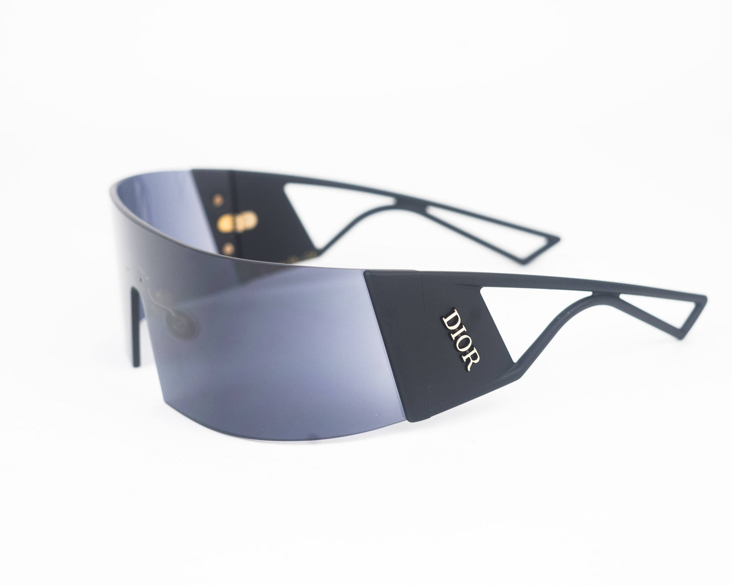 Dior Kaleidiorscopic Polarized Sunglasses