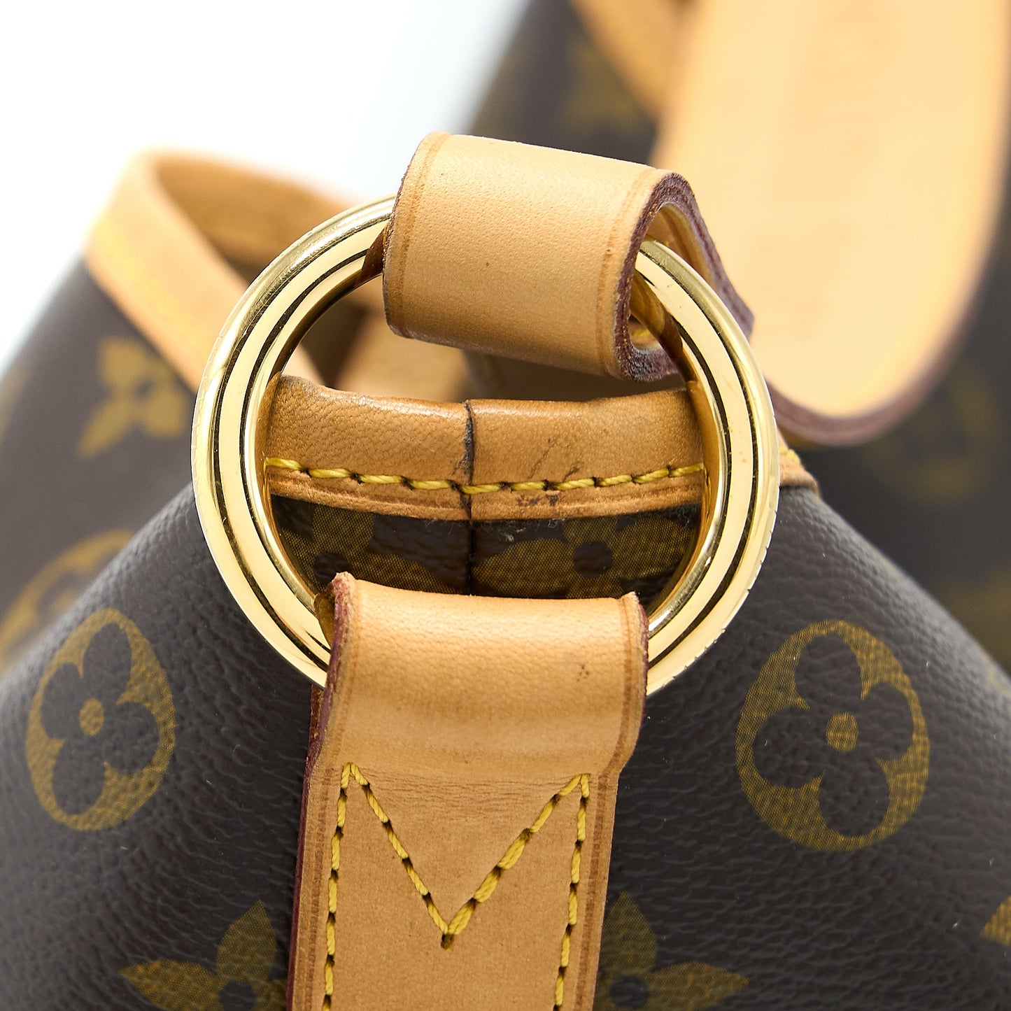Louis Vuitton Delightful MM Monogram Canvas GHW