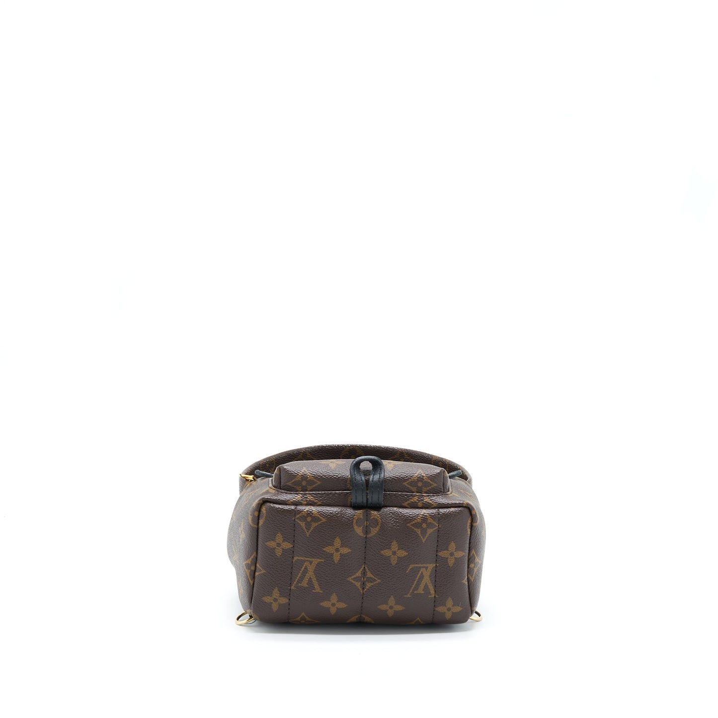 Louis Vuitton Palm Spring Mini Backpack Monogram Canvas GHW