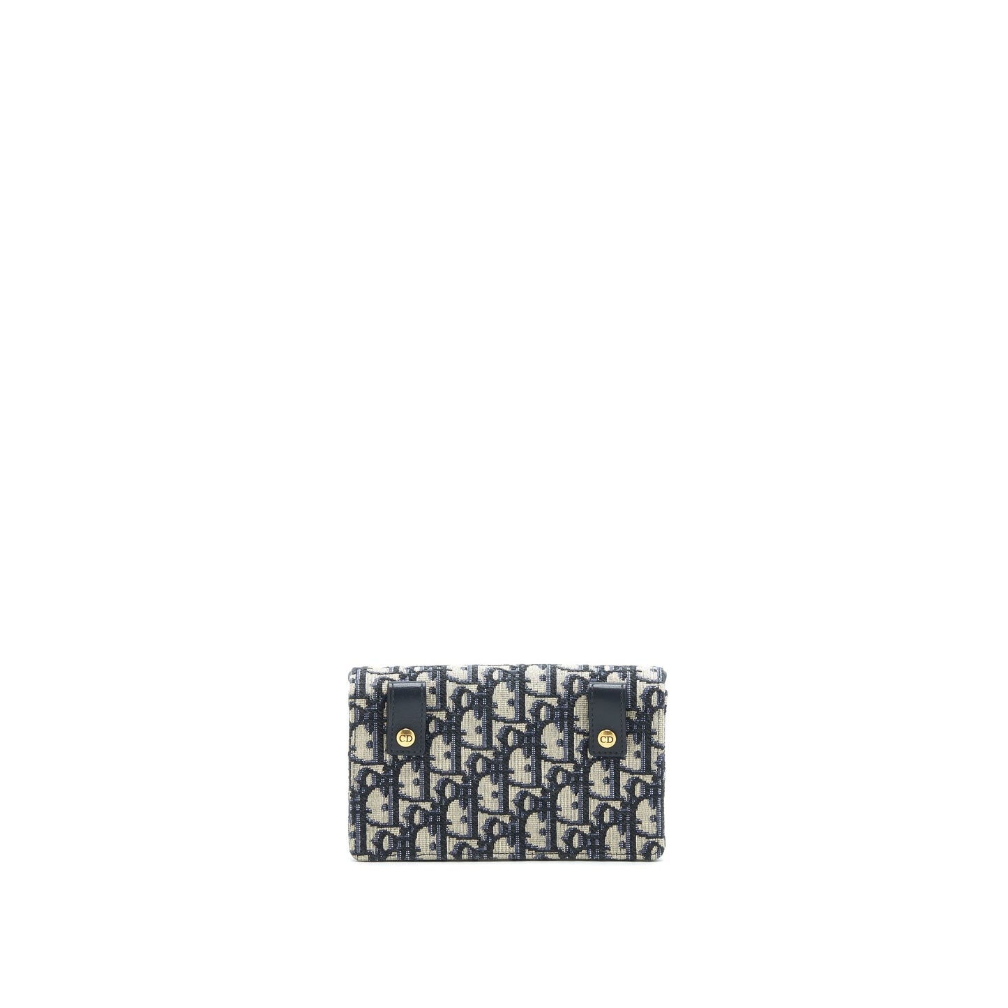 Luxury Dior Saddle belt Pouch Oblique