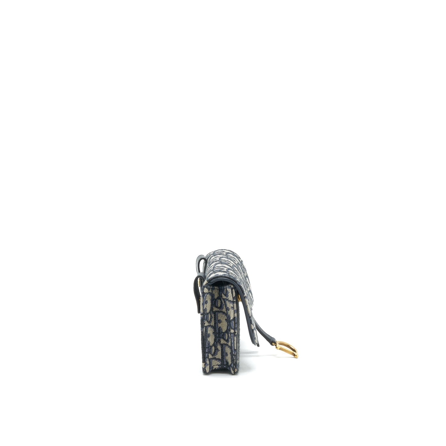 Luxury Dior Saddle belt Pouch Oblique