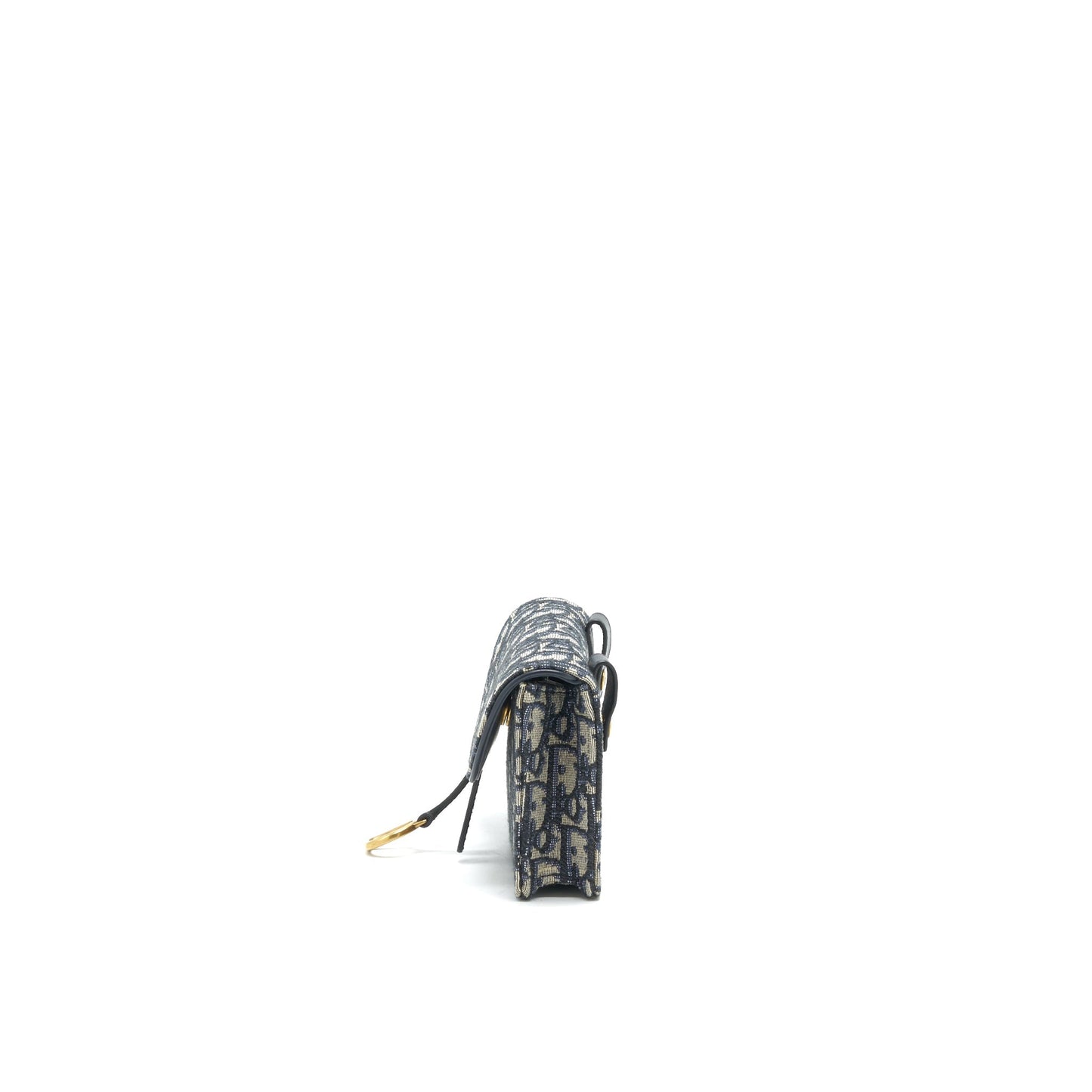 Luxury Dior Saddle belt Pouch Oblique