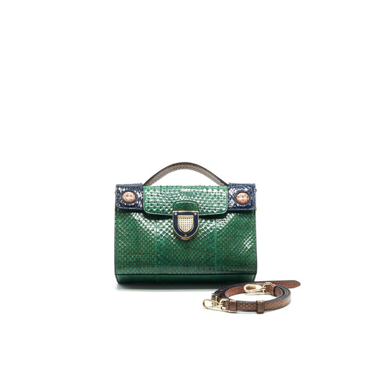 Christian Luxury Dior Python Clutch/ Crossbody Bag Multi Colour