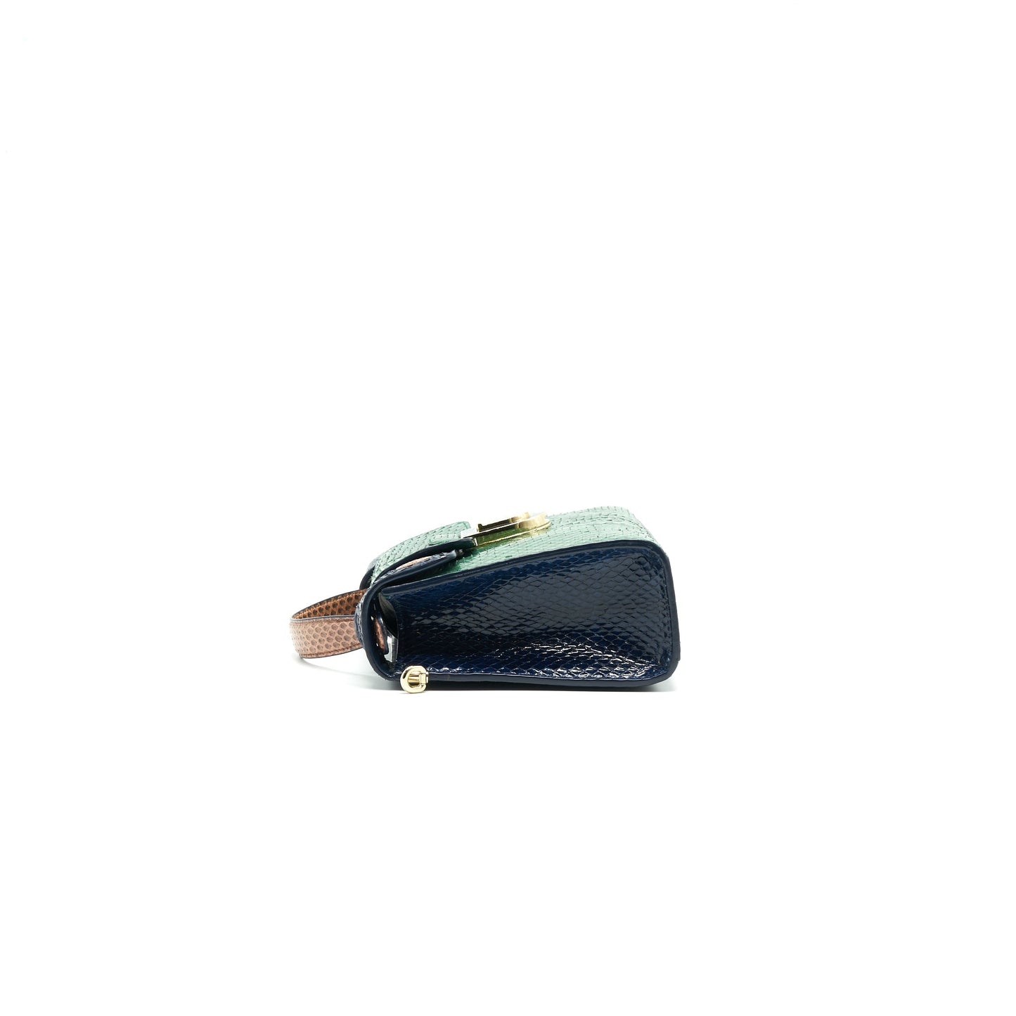 Christian Luxury Dior Python Clutch/ Crossbody Bag Multi Colour