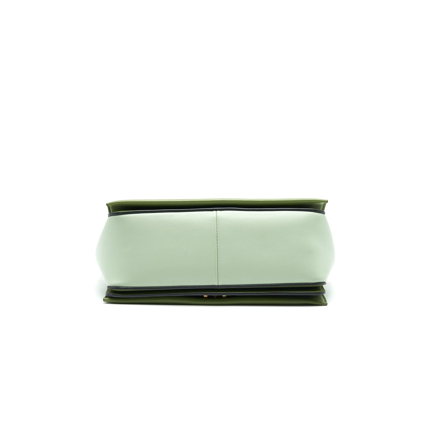 Celine Frame Bag Shoulder Bag Green