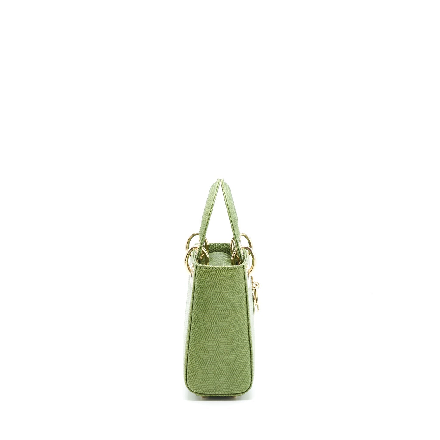 Luxury Dior Mini Lady Luxury Dior Lizard Light Green SHW