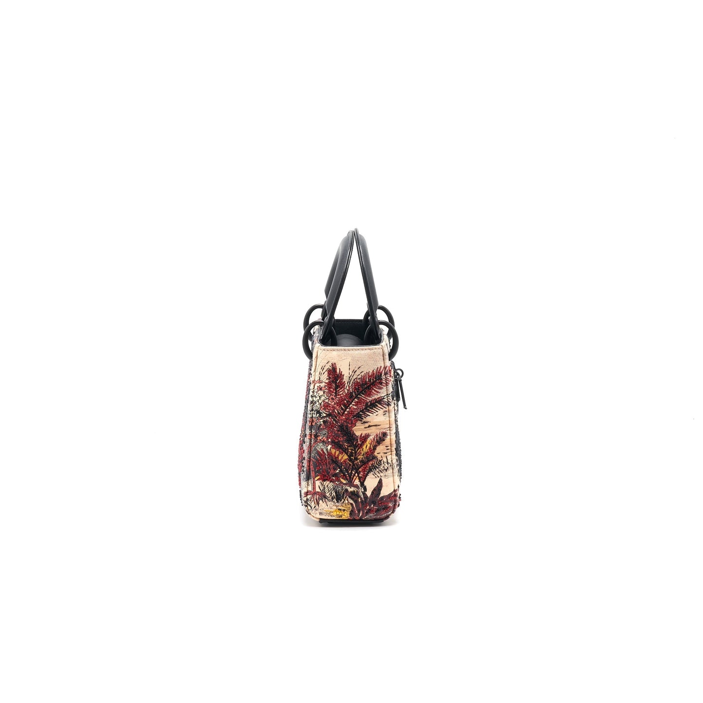 Luxury Dior Mini Luxury Dior Limited Edition year 2019
