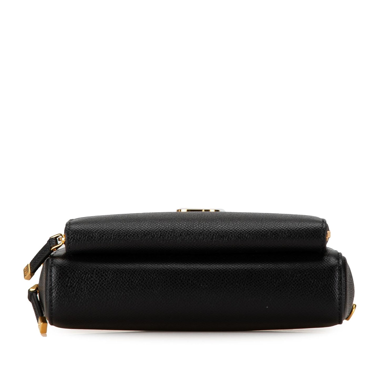 Luxury DiorGrained Calfskin Caro Double Pouch (SHG-evu93G)