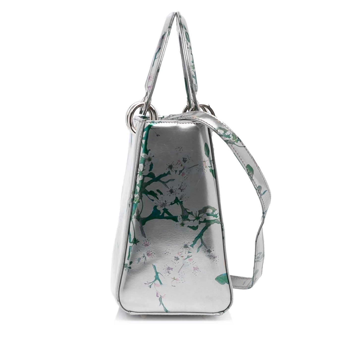 Luxury DiorMedium Printed Lady Luxury Dior(SHG-WFcBxM)