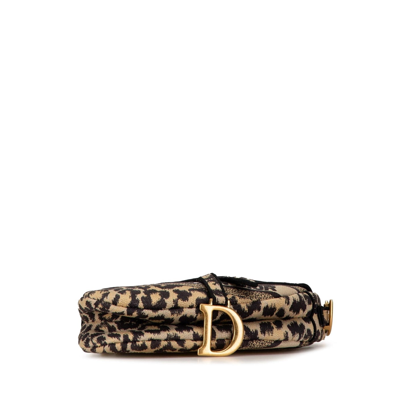 Luxury DiorMizza Embroidered Canvas Saddle Bag (SHG-A8D2SN)