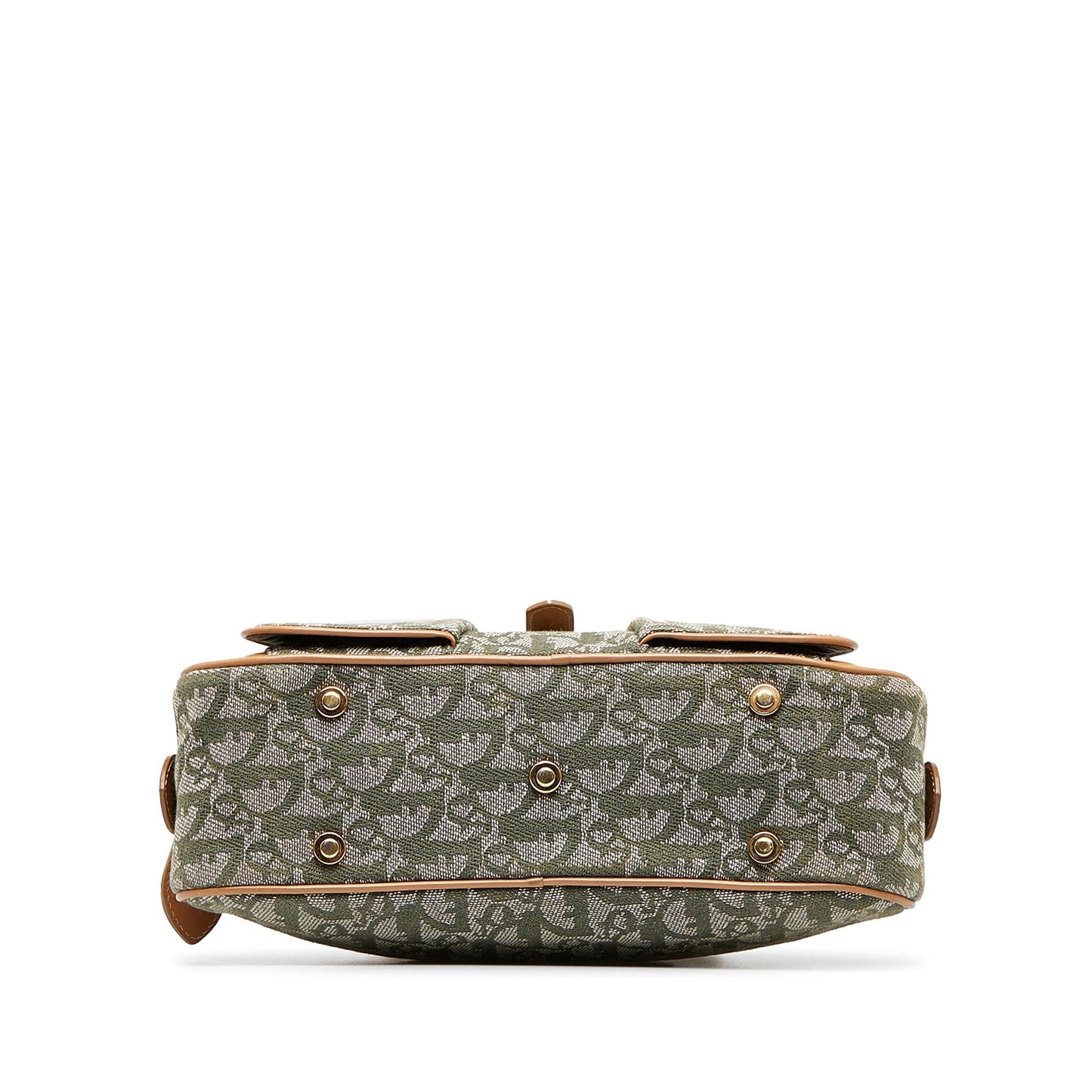 Luxury DiorOblique Double Saddle Bowler (SHG-oleZrL)