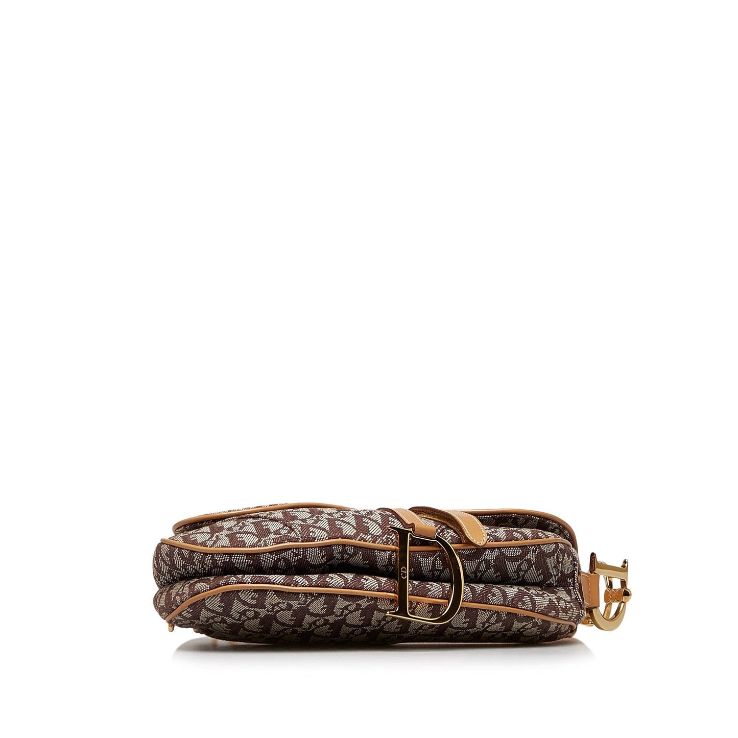 Luxury DiorOblique Saddle (SHG-OjTL1Q)
