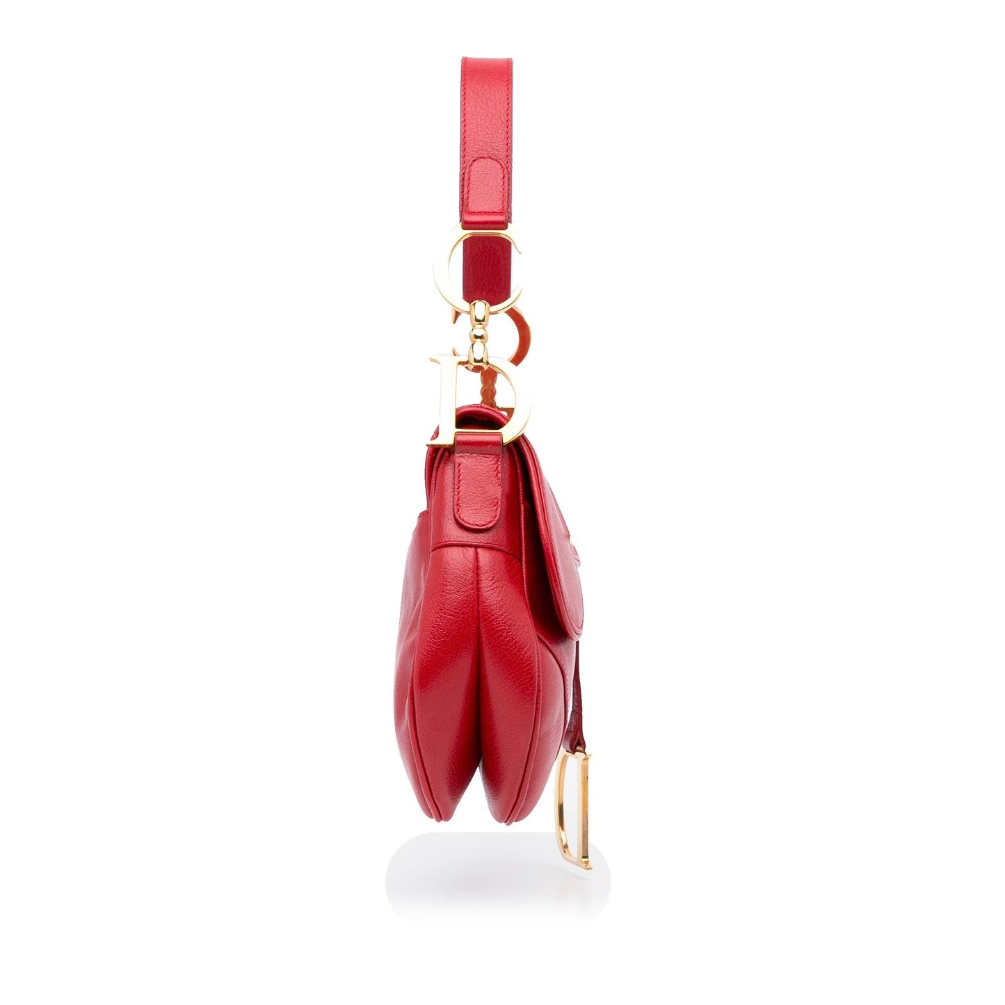 Luxury DiorSaddle Baguette (SHG-EvXDcW)
