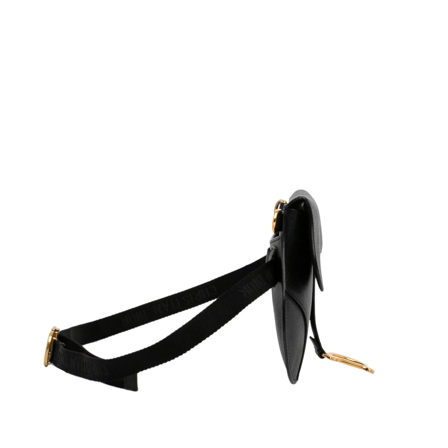 Luxury DiorSaddle Leather Belt Bag (SHG-vdHXOH)