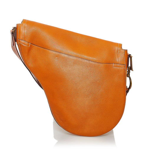 Luxury DiorSaddle Leather Crossbody Bag (SHG-36128)