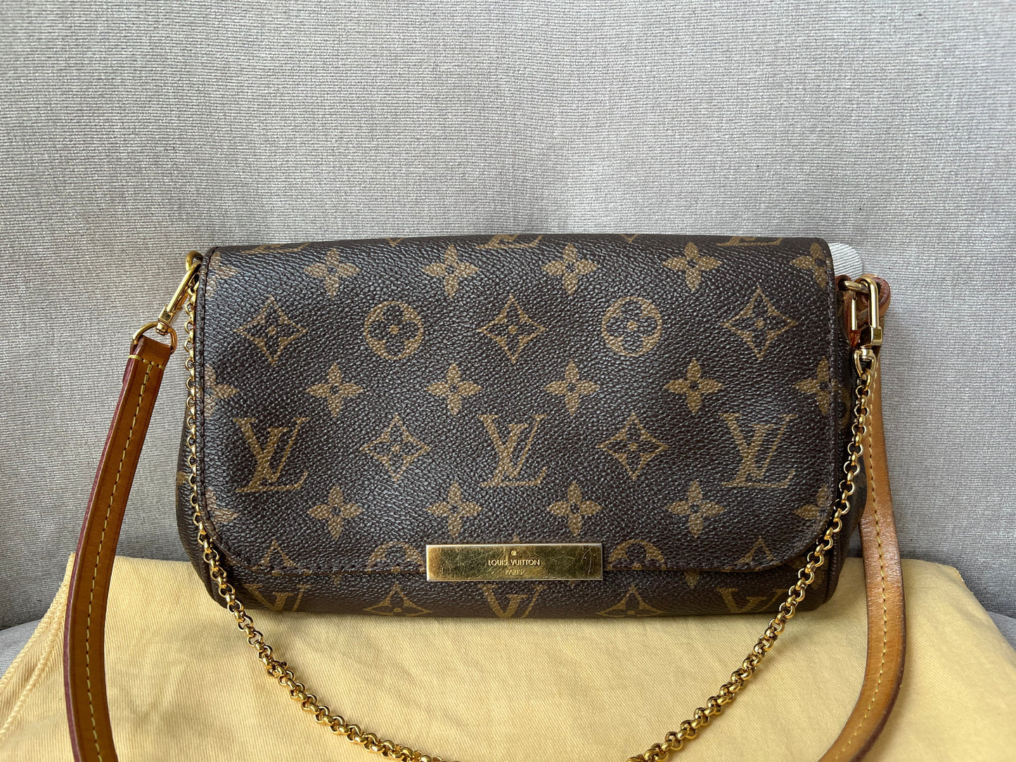 Louis Vuitton Favorite PM Damier Ebene