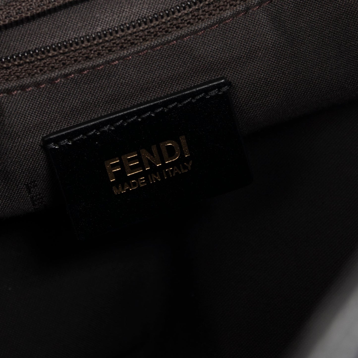 Fendi Chameleon Hobo