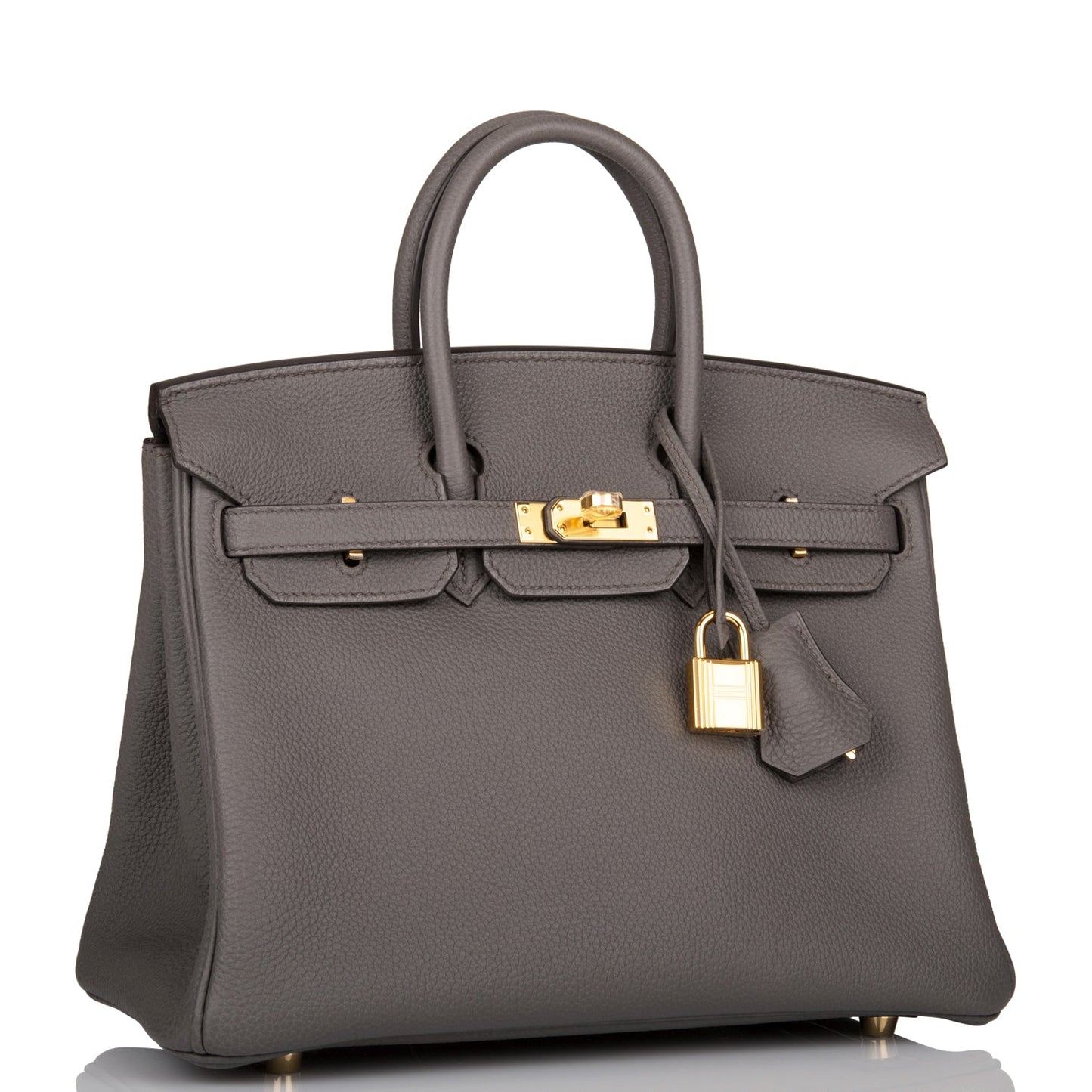 Luxury Hermes Birkin 25 Etain Togo Gold Hardware