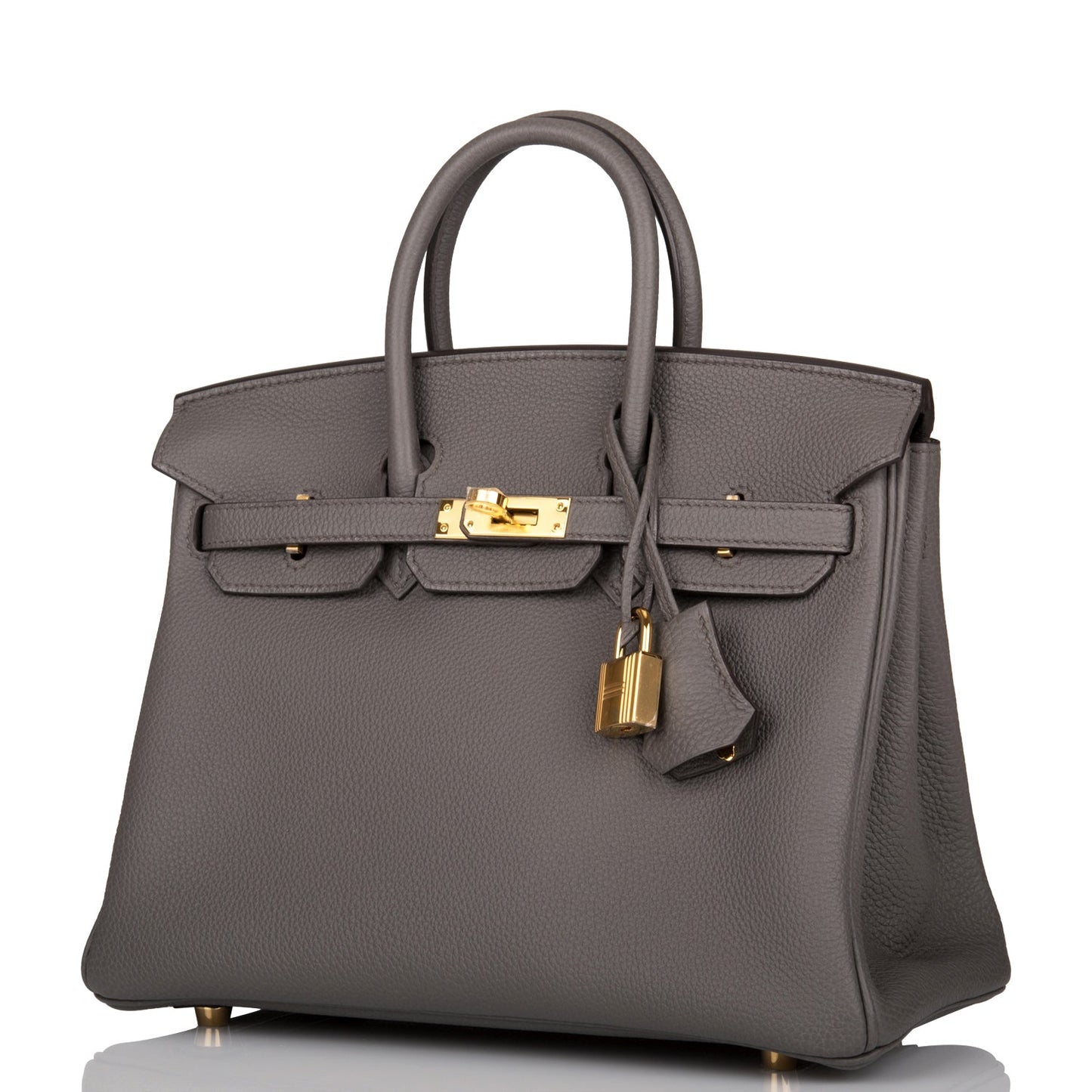 Luxury Hermes Birkin 25 Etain Togo Gold Hardware