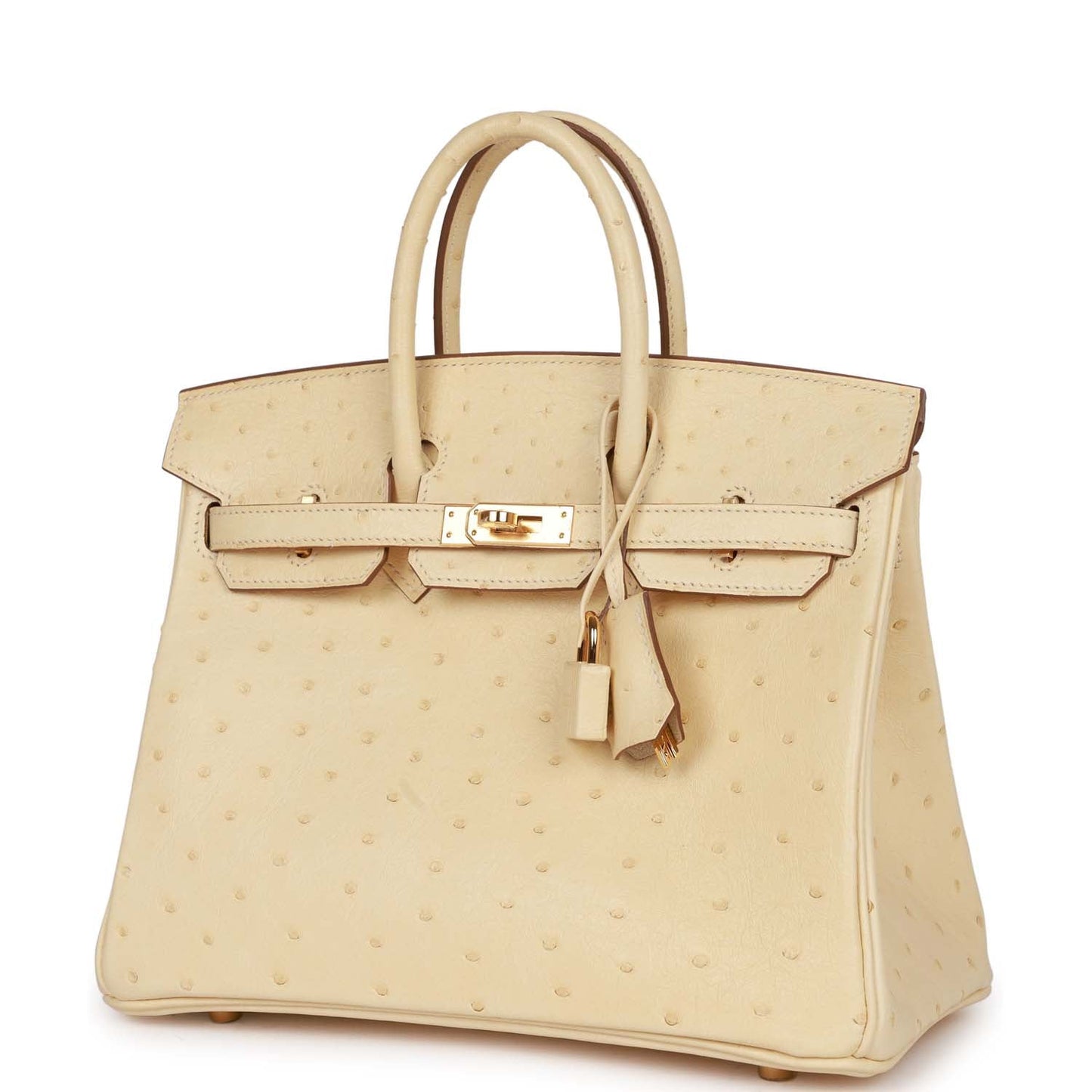 Luxury Hermes Birkin 25 Vanille Ostrich Boreal Gold Hardware