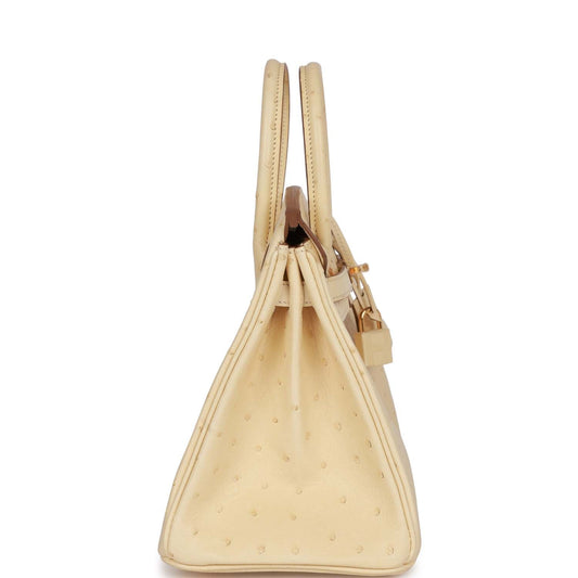 Luxury Hermes Birkin 25 Vanille Ostrich Boreal Gold Hardware
